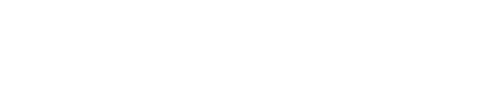 logo icon